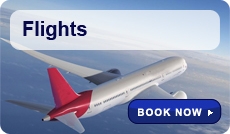 Flights Banner
